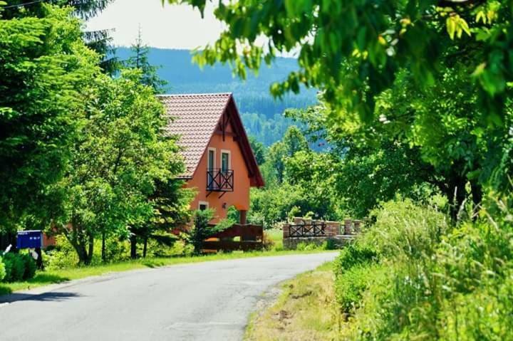 Villa Wydrza-Przystan Mirsk Esterno foto