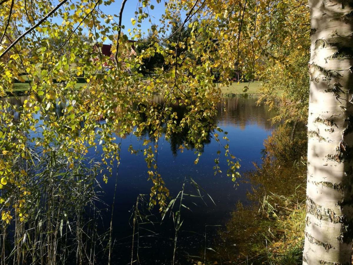 Villa Wydrza-Przystan Mirsk Esterno foto